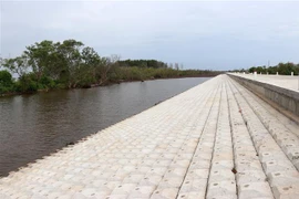 Đê biển Gò Công. (Ảnh: Hữu Chí/TTXVN) 