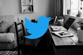 (Nguồn: Twitter/Getty Images) 