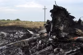Hiện trường vụ rơi máy bay MH17 của hãng hàng không Malaysia Airlines ở gần thị trấn Shaktarsk, Ukraine, ngày 18/7/2014. (Nguồn: AFP/TTXVN) 