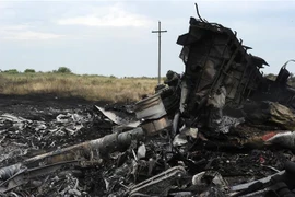 Hiện trường vụ rơi máy bay MH17 của hãng hàng không Malaysia Airlines ở gần thị trấn Shaktarsk, Ukraine, ngày 18/7/2014. (Nguồn: AFP/TTXVN) 