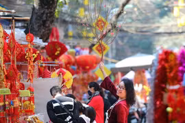 (Ảnh minh họa: Thanh Tùng/TTXVN) 