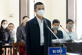 Bị cáo Đặng Anh Tuấn nghe Hội đồng xét xử tuyên án. (Ảnh: Trung Kiên/TTXVN) 