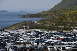 Ôtô đỗ tại một bãi đỗ xe gần Hemet, bang California, Mỹ. (Nguồn: AFP/TTXVN) 