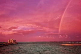 [Photo] Vẻ đẹp kiên cường trước biển của quần đảo Trường Sa