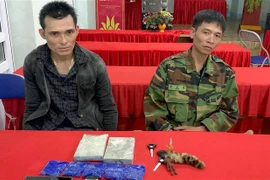 Đối tượng Cà Văn Quyền và Lò Văn Thuận cùng tang vật tại Cơ quan Công an. (Nguồn: TTXVN) 