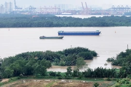 Mực nước trên sông Đồng Nai dâng cao, ở trạm Tà Lài đang ở mức báo động 2 (112,50m). (Ảnh: Hồng Đạt/TTXVN)