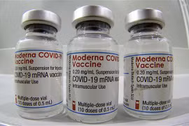 Vaccine ngừa COVID-19 của Moderna. (Ảnh: AFP/TTXVN) 