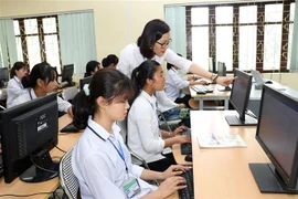 (Ảnh minh họa: Anh Tuấn/TTXVN) 