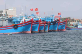 (Ảnh minh họa: Phạm Cường/TTXVN) 