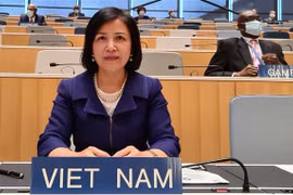 Đại sứ Lê Thị Tuyết Mai. (Ảnh: Tố Uyên/TTXVN) 