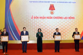 Phó Chủ tịch nước Đặng Thị Ngọc Thịnh trao Huân chương Lao động cho các cá nhân và tập thể. (Ảnh: Phan Tuấn Anh/TTXVN) 