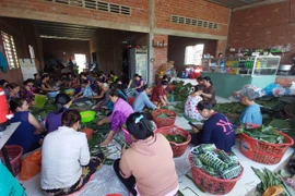 Hình ảnh người dân gói bánh tét gửi đồng bào miền Trung