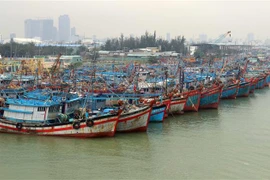 (Ảnh: Trần Lê Lâm/TTXVN) 