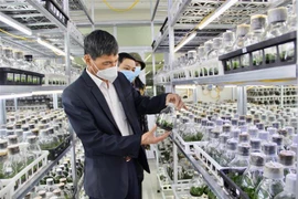 Đoàn công tác khảo sát khu nhà thực nghiệm tại Viện Nghiên cứu Rau quả. (Ảnh: Nguyễn Thắng/TTXVN) 