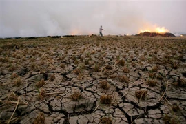 Đất khô nứt nẻ trên cánh đồng ở Qaliubia, Ai Cập. (Ảnh: AFP/TTXVN) 