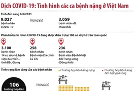 [Infographics] Tình hình các ca bệnh COVID-19 nặng ở Việt Nam