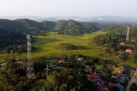 Dự án đường dây 220kV Bắc Giang-Lạng Sơn có chiều dài tuyến 101,6km. (Ảnh: Huy Hùng/TTXVN)