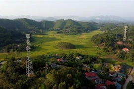 Dự án đường dây 220kV Bắc Giang-Lạng Sơn có chiều dài tuyến 101,6km. (Ảnh: Huy Hùng/TTXVN)