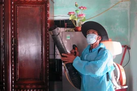 Nhân viên Trạm Y tế xã An Ninh Tây phun hóa chất xử lý ổ dịch ở thôn Hội Phú (xã An Ninh Tây, huyện Tuy An, tỉnh Phú Yên). (Ảnh: Xuân Triệu/TTXVN) 