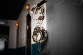 Ảnh minh họa. (Nguồn: ucl.ac.uk) 