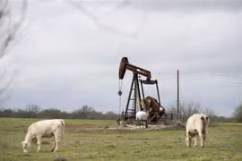 Một trạm bơm dầu ở Luling, bang Texas, Mỹ. (Nguồn: THX/TTXVN) 