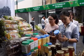 Người dân mua sắm tại hội chợ. (Ảnh: Phương Anh/TTXVN) 