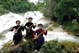 Tỉnh Tuyên Quang tổ chức nhiều câu lạc bộ để giữ gìn di sản Then. (Nguồn: TTXVN) 