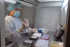 Bộ sinh phẩm phát hiện SARS-CoV-2 virus bằng kỹ thuật Realtime PCR của tỉnh Thái Nguyên được triển khai kiểm nghiệm tại Khoa Miễn dịch di truyền phân tử, Bệnh viện Trung ương Thái Nguyên. (Ảnh: Thu Hằng/TTXVN) 
