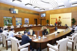 Quang cảnh cuôc họp. (Ảnh: Doãn Tấn/TTXVN) 