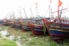 (Ảnh minh họa: Thế Duyệt/TTXVN) 