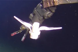 (Nguồn: dailynigerian.com) 