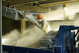 (Ảnh minh họa: Trần Việt/TTXVN) 