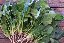 Rau bina chứa nguồn dinh dưỡng vượt trội so với các loại rau cùng loại. (Nguồn: Thestonesoup)