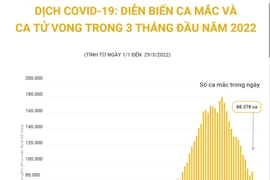 [Infographics] Diễn biến ca mắc và ca tử vong trong 3 tháng năm 2022