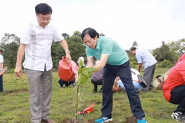 Đại diện lãnh đạo Thông tấn xã Việt Nam khu vực phía Nam và Hội Nhà báo trồng cây xanh tại trảng cỏ Bù Lạch, xã Đồng Nai, huyện Bù Đăng. (Ảnh: Đậu Tất Thành/TTXVN)