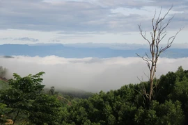[Photo] Thú vị điểm 'săn mây' ở huyện miền núi Khánh Sơn