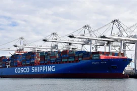 Hàng hóa Trung Quốc tại cảng Long Beach, bang California, Mỹ. (Nguồn: THX/TTXVN) 