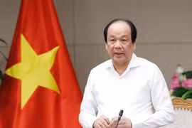 Bộ trưởng, Chủ nhiệm Văn phòng Chính phủ Mai Tiến Dũng làm Tổ trưởng Tổ công tác của Thủ tướng Chính phủ. (Ảnh: Dương Giang/TTXVN) 
