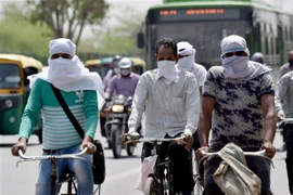 Đường phố ở New Delhi ngày 27/5/2020. (Nguồn: ANI/TTXVN) 