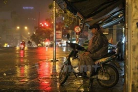 Ảnh minh họa. (Nguồn: Vietnam+) 