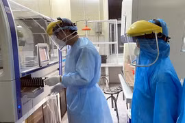 Tiến hành xét nghiệm xác định virus SARS-CoV-2 bằng máy sinh học phân tử Realtime PCR tự động tại thành phố Hải Phòng. (Nguồn: TTXVN) 