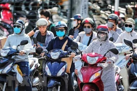 (Ảnh minh họa: Thành Đạt/TTXVN) 