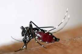 Ảnh minh họa. (Nguồn: AFP)