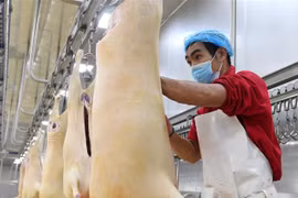 Công nhân chế biến thịt cừu tại một nhà máy ở Khu tự trị dân tộc Choang Quảng Tây, Trung Quốc, ngày 1/12/2021. (Ảnh: THX/TTXVN) 