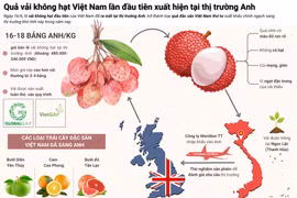 Quả vải không hạt Việt Nam lần đầu tiên xuất hiện tại thị trường Anh