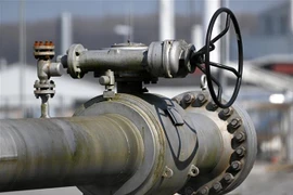 Tổng thống Nga Vladimir Putin đã trao đổi với người đứng đầu Tập đoàn khí đốt Gazprom Alexei Miller về việc tiếp tục cung cấp khí đốt cho Moldova. (Ảnh: AFP/TTXVN)