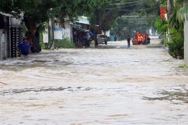 Lực lượng chức năng đưa người dân thôn Ngọc Phước (xã Bình Ngọc, thành phố Tuy Hòa) đi sơ tán. (Ảnh: Xuân Triệu/TTXVN) 