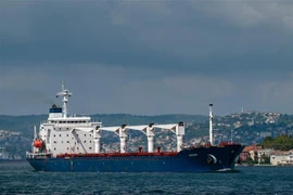 Tàu chở ngũ cốc di chuyển dọc Eo biển Bosphorus tại Istanbul, Thổ Nhĩ Kỳ, ngày 3/8/2022. (Ảnh: AFP/TTXVN)
