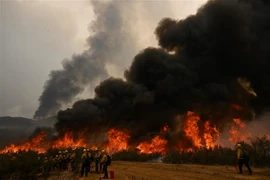 Khói lửa bốc lên từ đám cháy rừng ở California, Mỹ ngày 8/9/2022. (Ảnh: AFP/TTXVN)