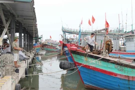 Người dân neo đậu tàu thuyền chắc chắn phòng tránh bão số 7. (Ảnh: Nguyễn Oanh/TTXVN) 